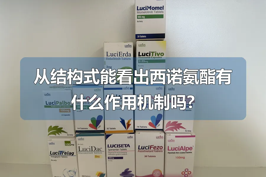 从结构式能看出西诺氨酯有什么作用机制吗?